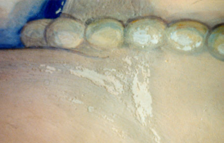 Yelena Budylin Paintings